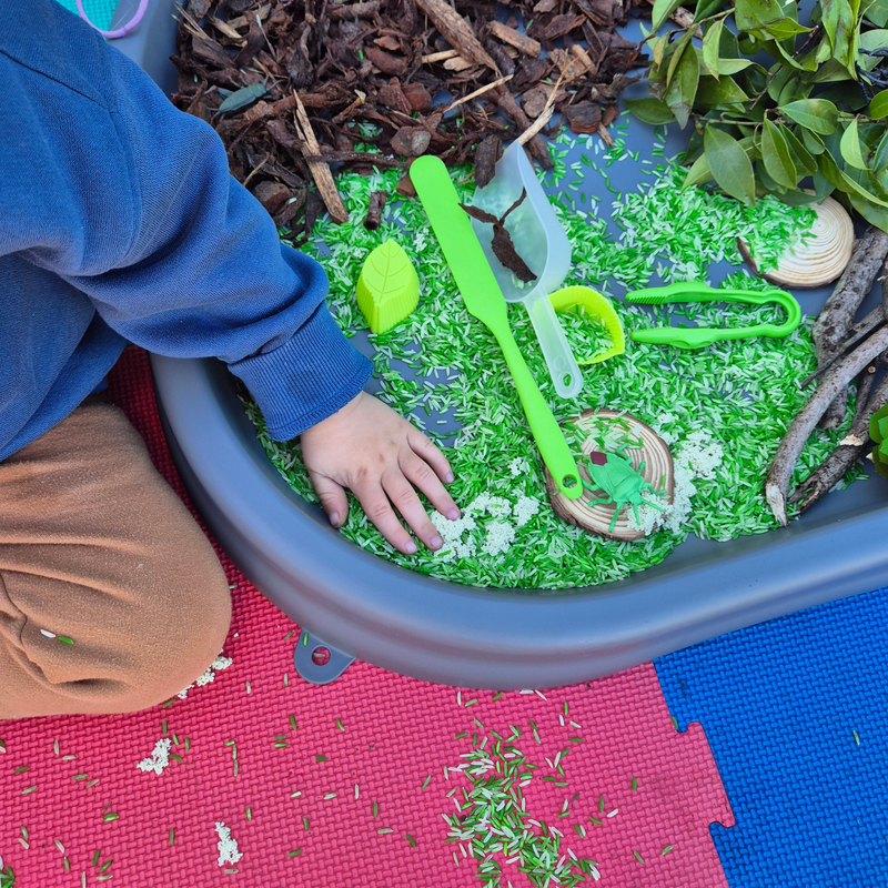 Finding Bugs