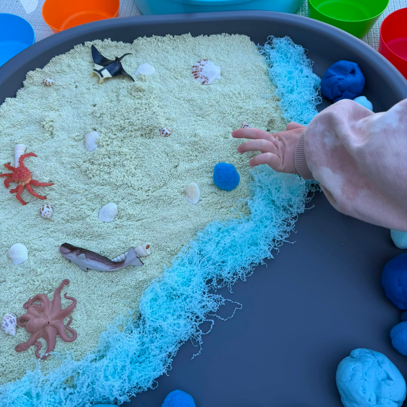 Exploring Under the Sea